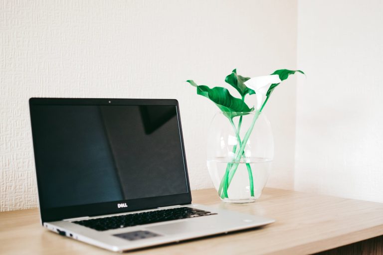 How To Reset Bios Password On Dell Laptop