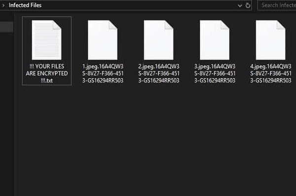 buran encrytped files