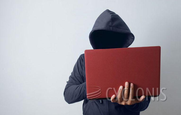 computer malware theft